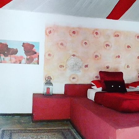 Gecko Nature Lodge Home Of Swahili Divers The Best Dive Center And Famous Gecko Restaurant Verani المظهر الخارجي الصورة