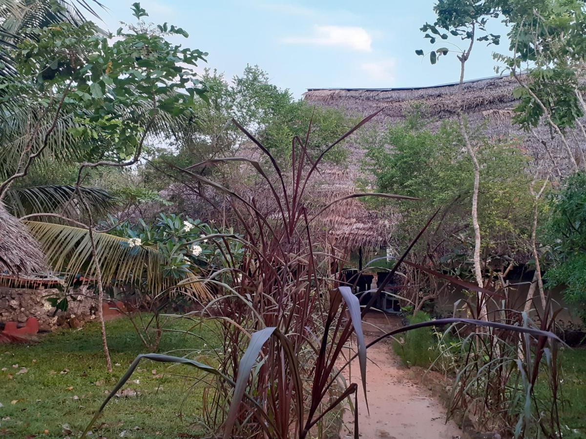 Gecko Nature Lodge Home Of Swahili Divers The Best Dive Center And Famous Gecko Restaurant Verani المظهر الخارجي الصورة