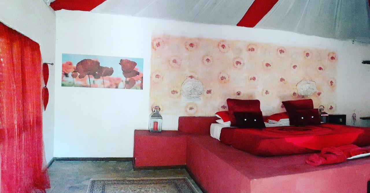 Gecko Nature Lodge Home Of Swahili Divers The Best Dive Center And Famous Gecko Restaurant Verani المظهر الخارجي الصورة
