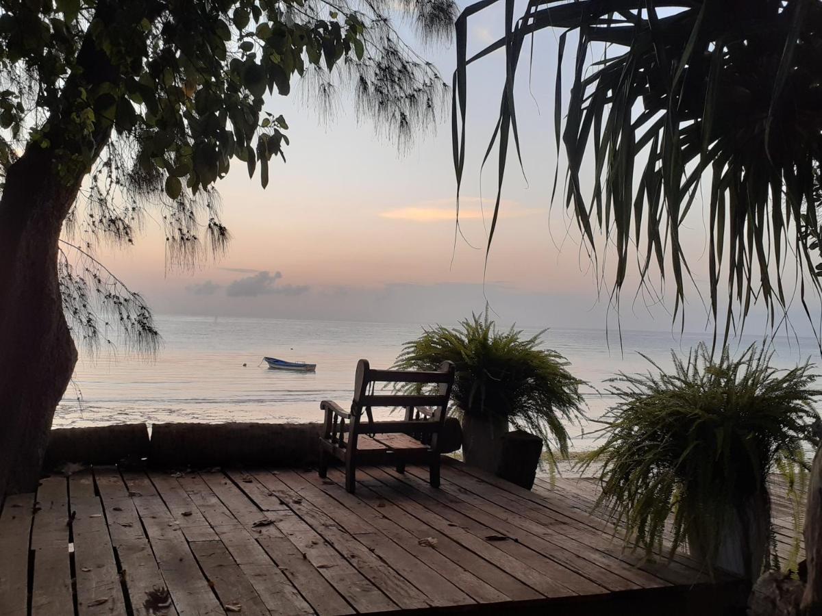 Gecko Nature Lodge Home Of Swahili Divers The Best Dive Center And Famous Gecko Restaurant Verani المظهر الخارجي الصورة