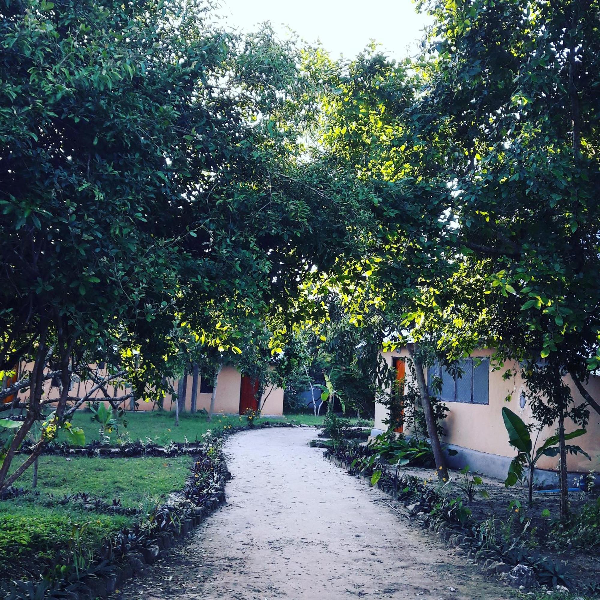 Gecko Nature Lodge Home Of Swahili Divers The Best Dive Center And Famous Gecko Restaurant Verani المظهر الخارجي الصورة
