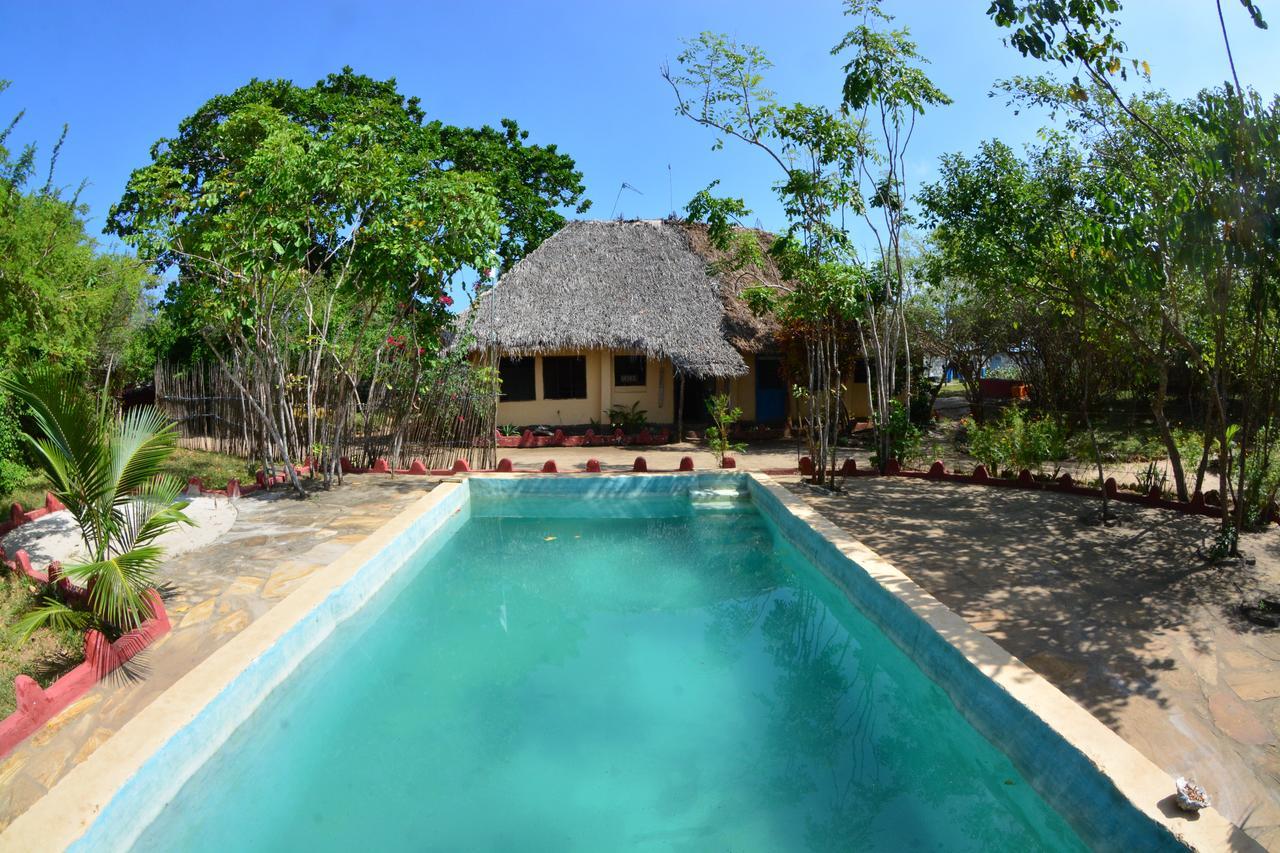 Gecko Nature Lodge Home Of Swahili Divers The Best Dive Center And Famous Gecko Restaurant Verani المظهر الخارجي الصورة