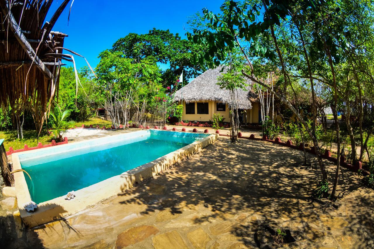 Gecko Nature Lodge Home Of Swahili Divers The Best Dive Center And Famous Gecko Restaurant Verani المظهر الخارجي الصورة