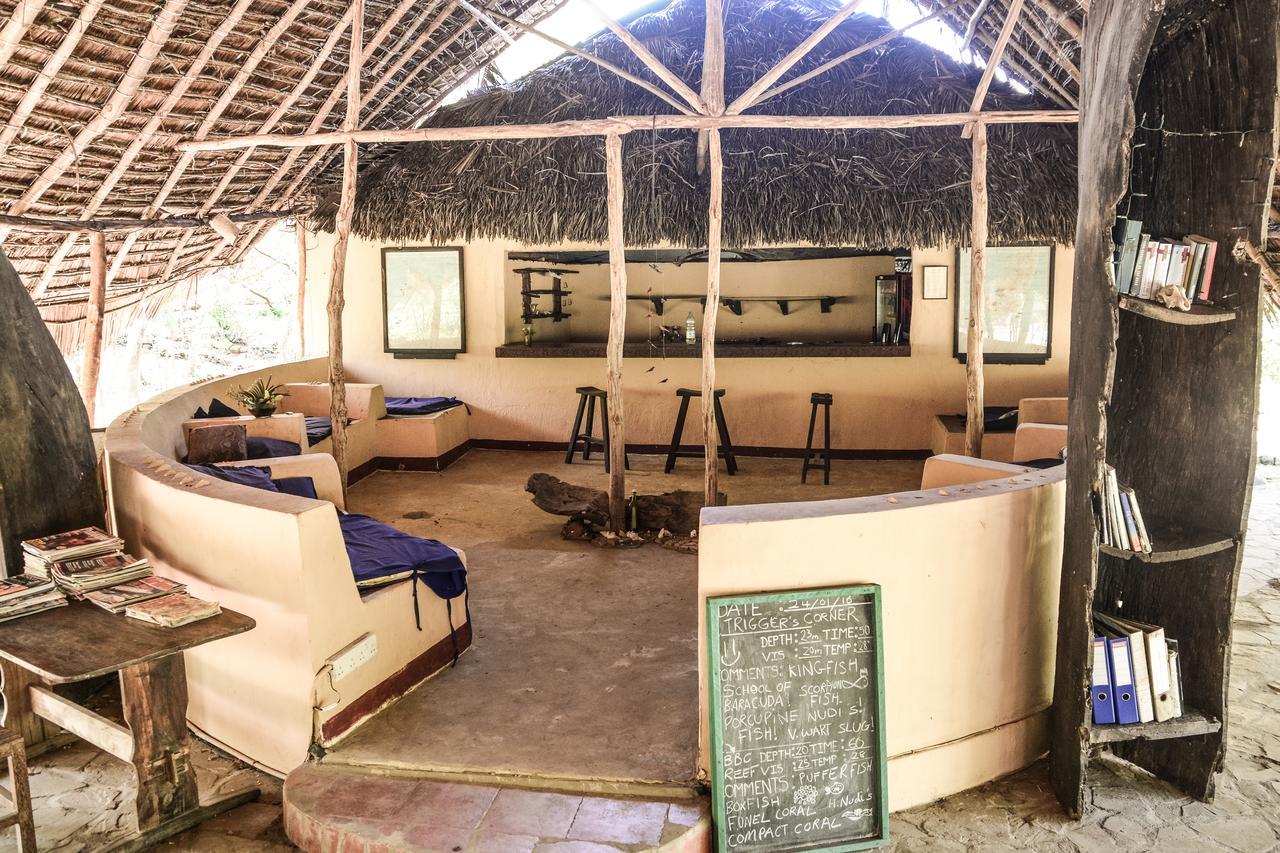 Gecko Nature Lodge Home Of Swahili Divers The Best Dive Center And Famous Gecko Restaurant Verani المظهر الخارجي الصورة