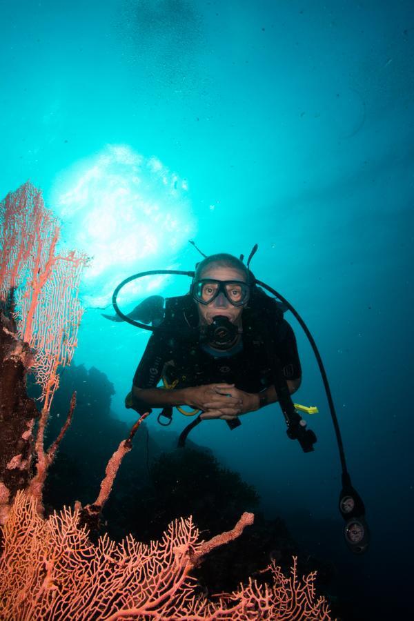 Gecko Nature Lodge Home Of Swahili Divers The Best Dive Center And Famous Gecko Restaurant Verani المظهر الخارجي الصورة