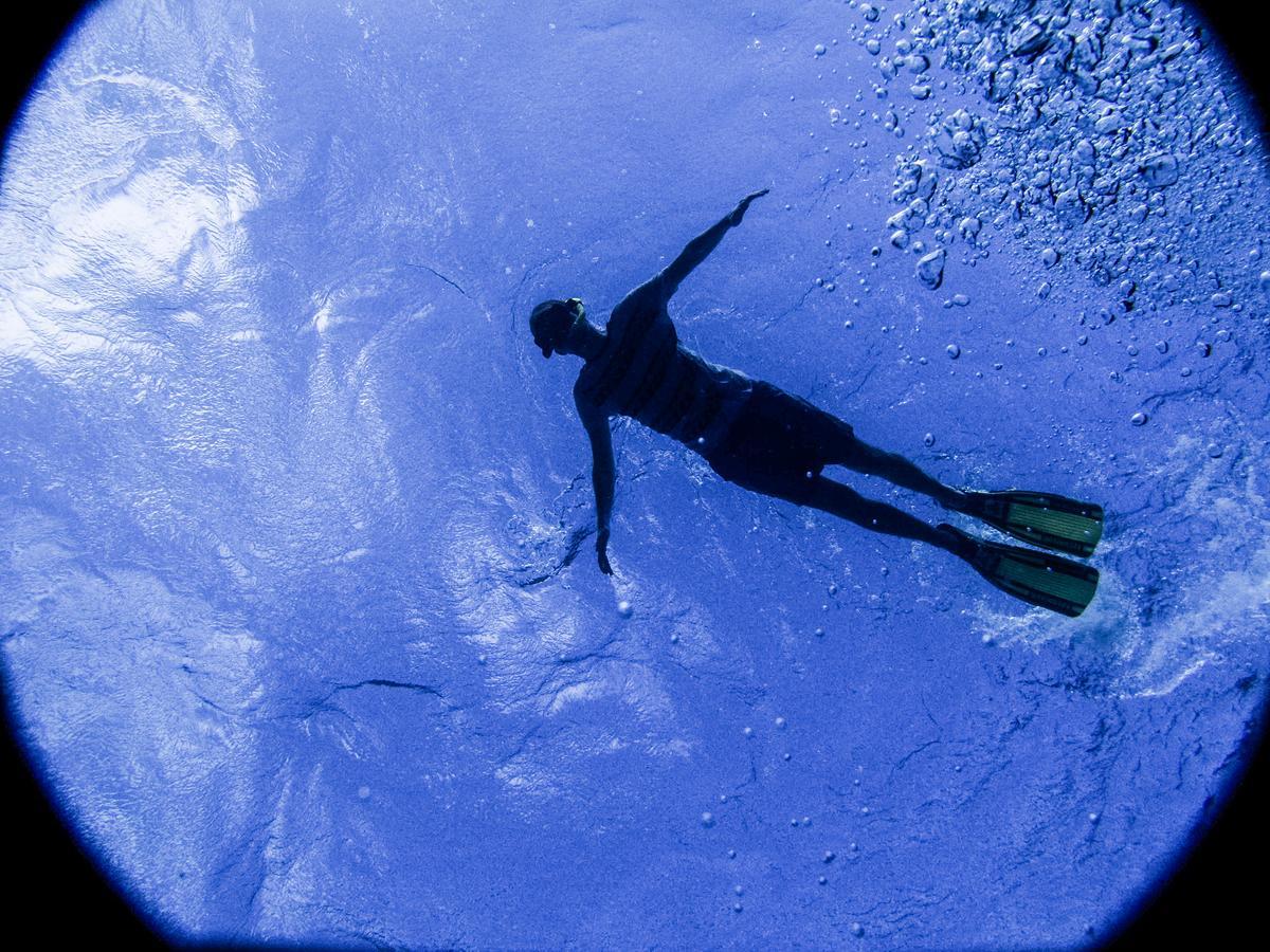 Gecko Nature Lodge Home Of Swahili Divers The Best Dive Center And Famous Gecko Restaurant Verani المظهر الخارجي الصورة