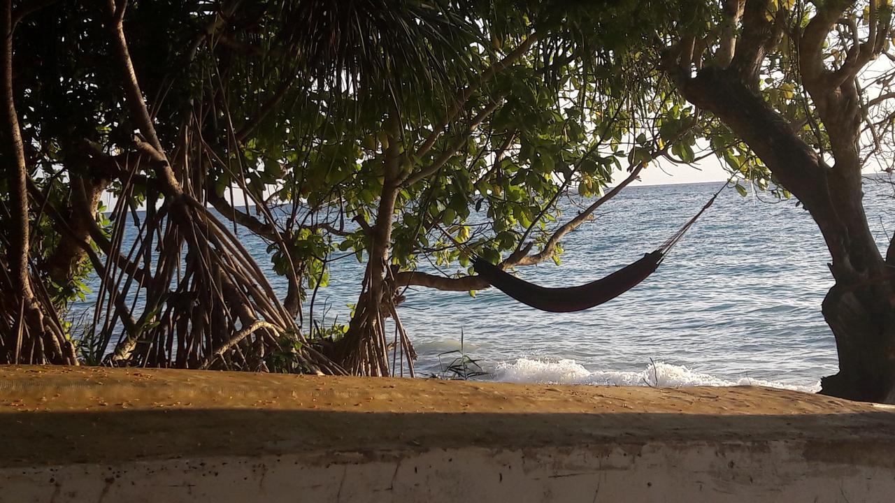 Gecko Nature Lodge Home Of Swahili Divers The Best Dive Center And Famous Gecko Restaurant Verani المظهر الخارجي الصورة