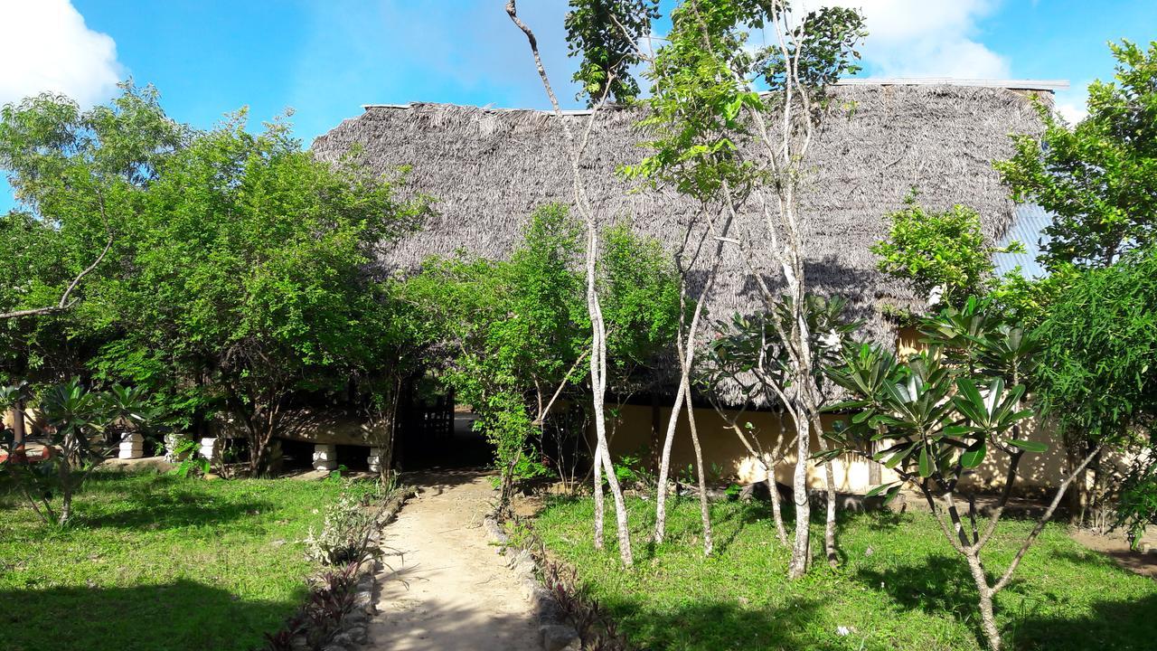Gecko Nature Lodge Home Of Swahili Divers The Best Dive Center And Famous Gecko Restaurant Verani المظهر الخارجي الصورة