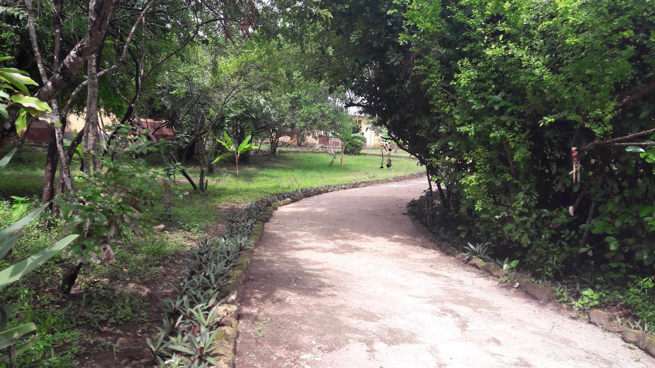 Gecko Nature Lodge Home Of Swahili Divers The Best Dive Center And Famous Gecko Restaurant Verani المظهر الخارجي الصورة