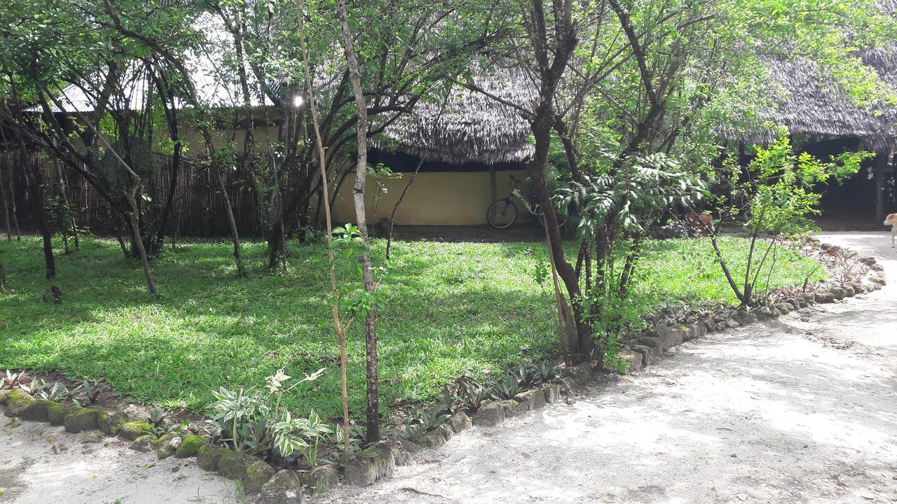 Gecko Nature Lodge Home Of Swahili Divers The Best Dive Center And Famous Gecko Restaurant Verani المظهر الخارجي الصورة