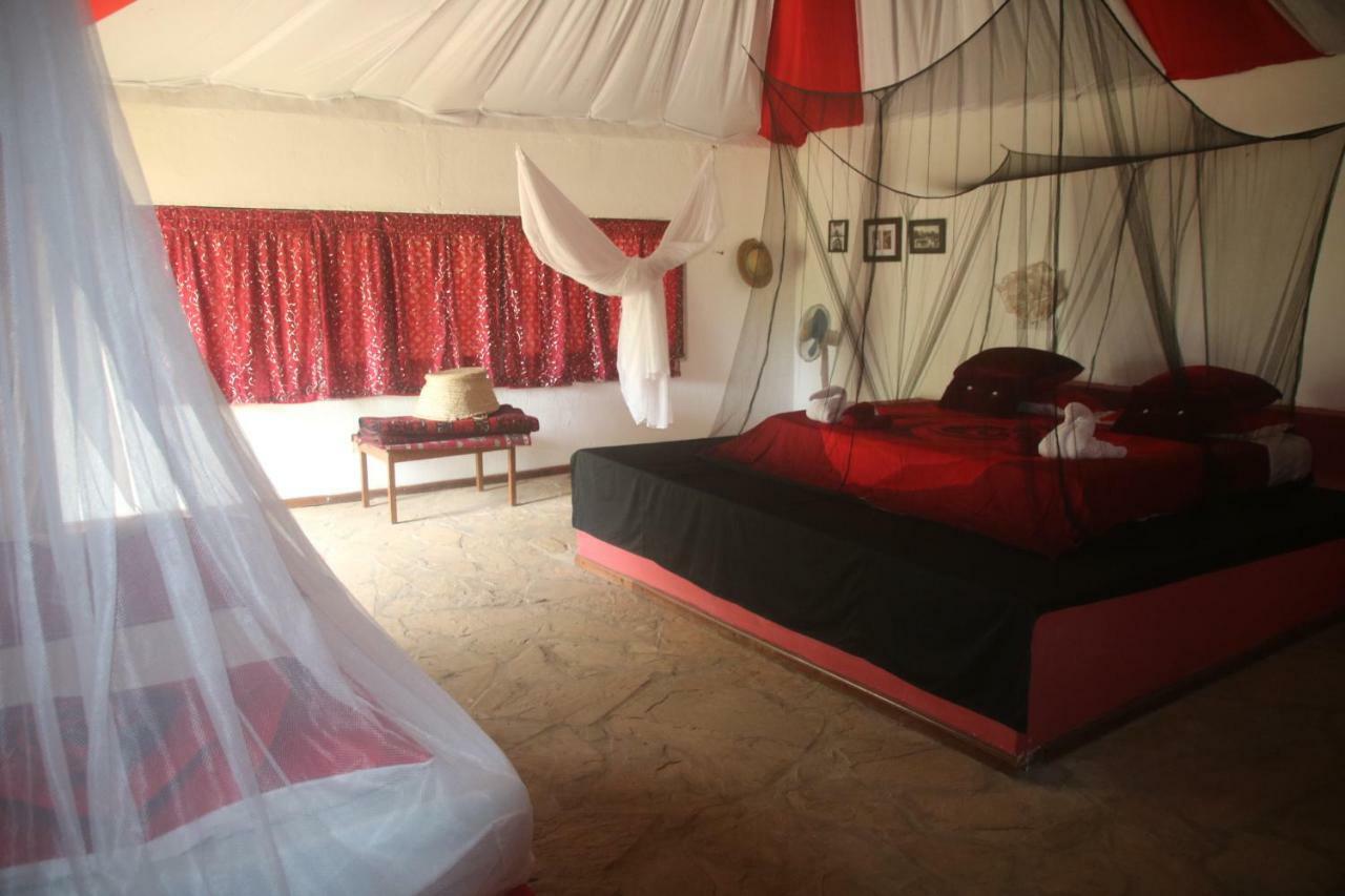 Gecko Nature Lodge Home Of Swahili Divers The Best Dive Center And Famous Gecko Restaurant Verani المظهر الخارجي الصورة